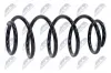 Fahrwerksfeder Vorderachse NTY ASZ-PL-013 Bild Fahrwerksfeder Vorderachse NTY ASZ-PL-013