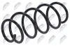 Fahrwerksfeder Vorderachse NTY ASZ-PL-017 Bild Fahrwerksfeder Vorderachse NTY ASZ-PL-017