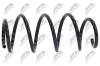 Fahrwerksfeder Vorderachse NTY ASZ-PL-024 Bild Fahrwerksfeder Vorderachse NTY ASZ-PL-024