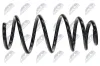 Fahrwerksfeder Vorderachse NTY ASZ-PL-050 Bild Fahrwerksfeder Vorderachse NTY ASZ-PL-050
