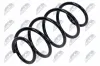 Fahrwerksfeder Vorderachse NTY ASZ-PL-060