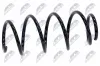 Fahrwerksfeder Vorderachse NTY ASZ-PL-060 Bild Fahrwerksfeder Vorderachse NTY ASZ-PL-060