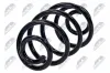 Fahrwerksfeder Hinterachse NTY ASZ-PL-066 Bild Fahrwerksfeder Hinterachse NTY ASZ-PL-066