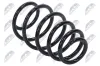 Fahrwerksfeder Vorderachse NTY ASZ-PL-070 Bild Fahrwerksfeder Vorderachse NTY ASZ-PL-070