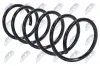 Fahrwerksfeder Vorderachse NTY ASZ-RE-003 Bild Fahrwerksfeder Vorderachse NTY ASZ-RE-003