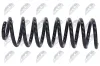 Fahrwerksfeder Hinterachse NTY ASZ-RE-005 Bild Fahrwerksfeder Hinterachse NTY ASZ-RE-005