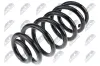 Fahrwerksfeder Hinterachse NTY ASZ-RE-012