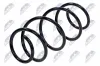 Fahrwerksfeder Vorderachse NTY ASZ-RE-013 Bild Fahrwerksfeder Vorderachse NTY ASZ-RE-013