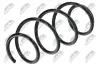 Fahrwerksfeder Vorderachse NTY ASZ-RE-015 Bild Fahrwerksfeder Vorderachse NTY ASZ-RE-015