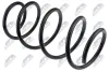 Fahrwerksfeder Vorderachse NTY ASZ-RE-019 Bild Fahrwerksfeder Vorderachse NTY ASZ-RE-019