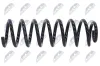 Fahrwerksfeder Hinterachse NTY ASZ-RE-032 Bild Fahrwerksfeder Hinterachse NTY ASZ-RE-032
