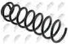 Fahrwerksfeder Hinterachse NTY ASZ-RE-036 Bild Fahrwerksfeder Hinterachse NTY ASZ-RE-036
