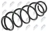 Fahrwerksfeder Hinterachse NTY ASZ-RE-039 Bild Fahrwerksfeder Hinterachse NTY ASZ-RE-039