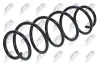 Fahrwerksfeder Hinterachse NTY ASZ-RE-040