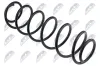 Fahrwerksfeder Hinterachse NTY ASZ-RE-044 Bild Fahrwerksfeder Hinterachse NTY ASZ-RE-044