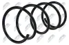 Fahrwerksfeder Vorderachse links Vorderachse rechts NTY ASZ-TY-002 Bild Fahrwerksfeder Vorderachse links Vorderachse rechts NTY ASZ-TY-002