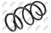 Fahrwerksfeder Vorderachse NTY ASZ-TY-008