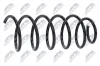 Fahrwerksfeder Vorderachse NTY ASZ-VV-005 Bild Fahrwerksfeder Vorderachse NTY ASZ-VV-005
