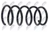 Fahrwerksfeder Hinterachse NTY ASZ-VV-006 Bild Fahrwerksfeder Hinterachse NTY ASZ-VV-006