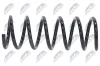 Fahrwerksfeder Hinterachse NTY ASZ-VV-015 Bild Fahrwerksfeder Hinterachse NTY ASZ-VV-015