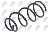 Fahrwerksfeder Vorderachse NTY ASZ-VV-021