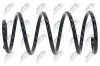 Fahrwerksfeder Vorderachse NTY ASZ-VV-024 Bild Fahrwerksfeder Vorderachse NTY ASZ-VV-024