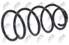 Fahrwerksfeder Vorderachse NTY ASZ-VV-025 Bild Fahrwerksfeder Vorderachse NTY ASZ-VV-025