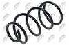 Fahrwerksfeder Vorderachse NTY ASZ-VV-028 Bild Fahrwerksfeder Vorderachse NTY ASZ-VV-028