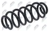 Fahrwerksfeder Hinterachse NTY ASZ-VW-011 Bild Fahrwerksfeder Hinterachse NTY ASZ-VW-011
