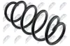 Fahrwerksfeder Vorderachse NTY ASZ-VW-013 Bild Fahrwerksfeder Vorderachse NTY ASZ-VW-013