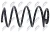 Fahrwerksfeder Vorderachse NTY ASZ-VW-017 Bild Fahrwerksfeder Vorderachse NTY ASZ-VW-017