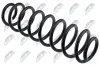Fahrwerksfeder Hinterachse NTY ASZ-VW-025 Bild Fahrwerksfeder Hinterachse NTY ASZ-VW-025