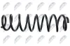 Fahrwerksfeder Hinterachse NTY ASZ-VW-025 Bild Fahrwerksfeder Hinterachse NTY ASZ-VW-025