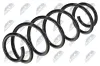 Fahrwerksfeder Hinterachse NTY ASZ-VW-031 Bild Fahrwerksfeder Hinterachse NTY ASZ-VW-031