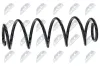 Fahrwerksfeder Hinterachse NTY ASZ-VW-031 Bild Fahrwerksfeder Hinterachse NTY ASZ-VW-031