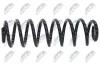 Fahrwerksfeder Hinterachse NTY ASZ-VW-033 Bild Fahrwerksfeder Hinterachse NTY ASZ-VW-033