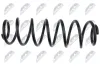 Fahrwerksfeder Hinterachse NTY ASZ-VW-035 Bild Fahrwerksfeder Hinterachse NTY ASZ-VW-035