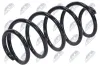 Fahrwerksfeder Vorderachse NTY ASZ-VW-039