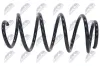 Fahrwerksfeder Vorderachse NTY ASZ-VW-039 Bild Fahrwerksfeder Vorderachse NTY ASZ-VW-039