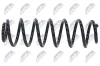 Fahrwerksfeder Hinterachse NTY ASZ-VW-041 Bild Fahrwerksfeder Hinterachse NTY ASZ-VW-041