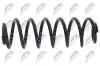 Fahrwerksfeder Hinterachse NTY ASZ-VW-045 Bild Fahrwerksfeder Hinterachse NTY ASZ-VW-045