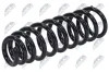 Fahrwerksfeder Vorderachse NTY ASZ-VW-081 Bild Fahrwerksfeder Vorderachse NTY ASZ-VW-081