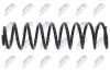 Fahrwerksfeder Hinterachse NTY ASZ-VW-092 Bild Fahrwerksfeder Hinterachse NTY ASZ-VW-092