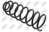 Fahrwerksfeder Hinterachse NTY ASZ-VW-099 Bild Fahrwerksfeder Hinterachse NTY ASZ-VW-099