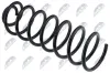 Fahrwerksfeder Hinterachse NTY ASZ-VW-101 Bild Fahrwerksfeder Hinterachse NTY ASZ-VW-101