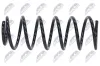 Fahrwerksfeder Vorderachse NTY ASZ-VW-103 Bild Fahrwerksfeder Vorderachse NTY ASZ-VW-103