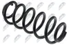 Fahrwerksfeder Hinterachse NTY ASZ-VW-105 Bild Fahrwerksfeder Hinterachse NTY ASZ-VW-105