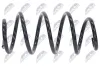 Fahrwerksfeder Vorderachse NTY ASZ-VW-110 Bild Fahrwerksfeder Vorderachse NTY ASZ-VW-110