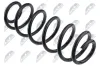 Fahrwerksfeder Hinterachse NTY ASZ-VW-116 Bild Fahrwerksfeder Hinterachse NTY ASZ-VW-116