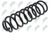 Fahrwerksfeder Hinterachse links Hinterachse rechts NTY ASZ-WW-005